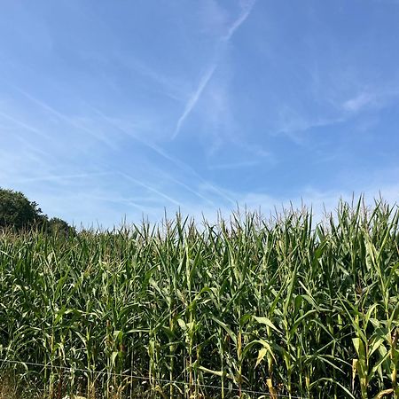 Boerenlodge Bruchterveld Eksteriør bilde